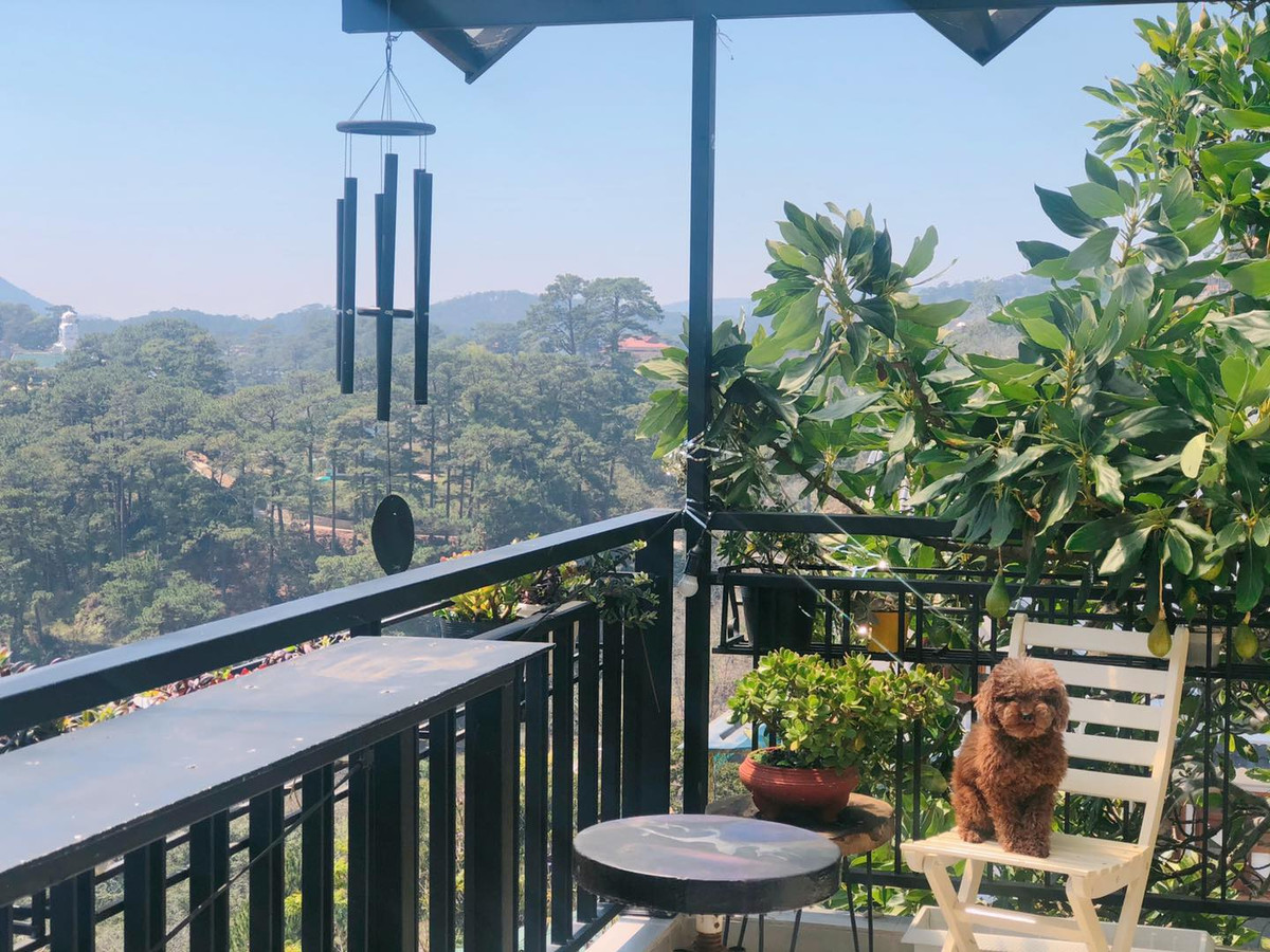 Trong khuôn viên biệt thự còn rất nhiều góc để thư giãn. Ảnh: Facebook