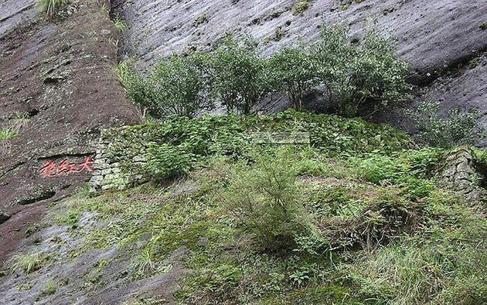 Khu vực này nắng ít chiếu, chủ yếu đón tia phản xạ với sự chênh lệch nhiệt độ ngày và đêm khá lớn. Ảnh: Sohu