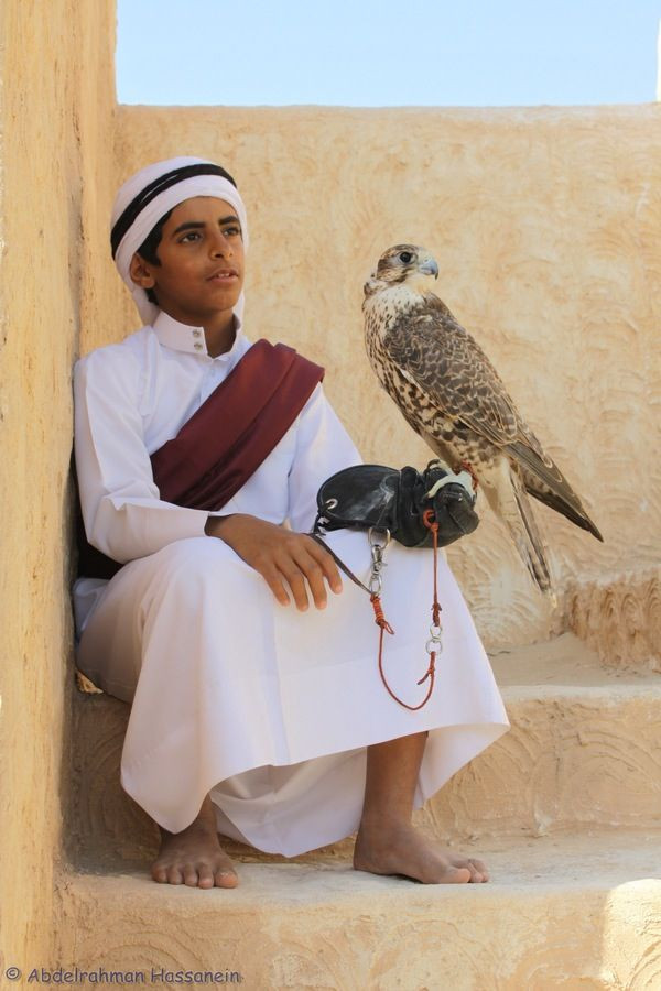 Hình ảnh những chú chim ưng đậu trên vai chủ nhân, cùng dạo bước trên đường phố Dubai hay Abu Dhabi mang lại đẳng cấp riêng cho giới nhà giàu. Ảnh: Printest