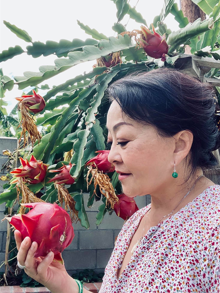 Trên diện tích đất 1.000m2, vợ chồng danh ca Hương Lan dành 360 m2 xây nhà và 500 m2 trồng cây. Ảnh: FBNV