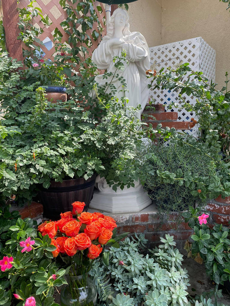 Sống ở vùng khí hậu ôn hòa, vợ chồng danh ca Hương Lan thoải mái trồng nhiều loại rau, hoa màu, hoa và cây ăn trái. Ảnh: FBNV