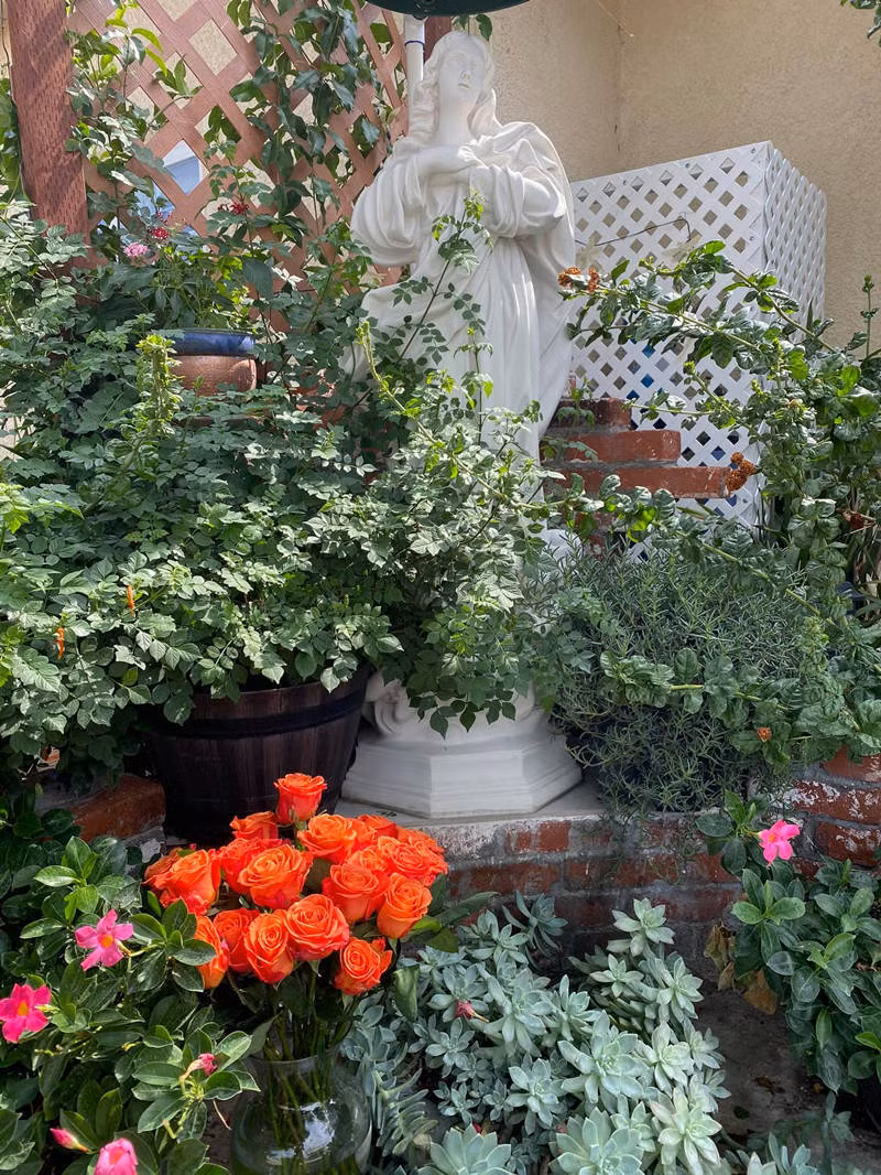 Sống ở vùng khí hậu ôn hòa, vợ chồng danh ca Hương Lan thoải mái trồng nhiều loại rau, hoa màu, hoa và cây ăn trái. Ảnh: FBNV