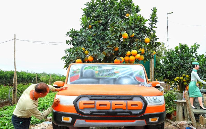 Chậu bưởi được nhà vườn làm thành hình chiếc ô tô độc đáo, rao bán 150 triệu đồng. Ảnh: Daidoanket