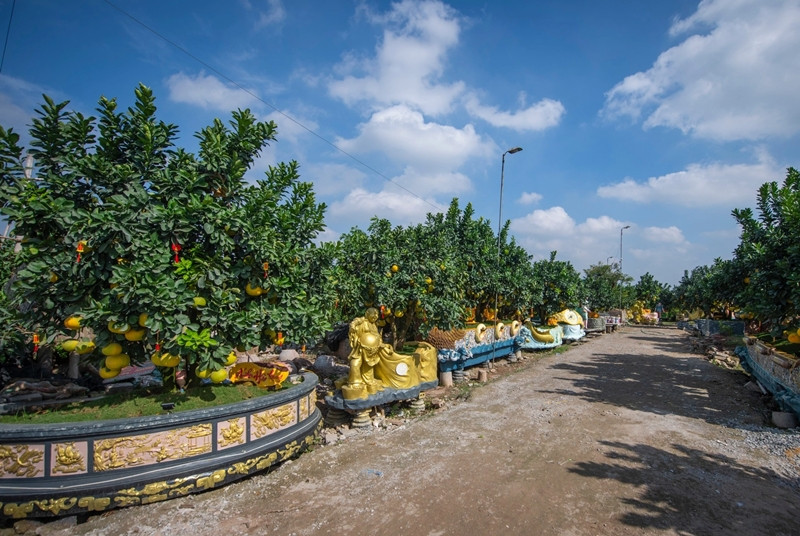 Trong khi đó, một số nhà vườn tại xã Liên Nghĩa (Văn Giang, Hưng Yên), đã tạo tác những chiếc chậu cây khổng lồ với nhiều hình thù phục vụ nhu cầu khách hàng dịp Tết Giáp Thìn 2024. Ảnh: Dân trí