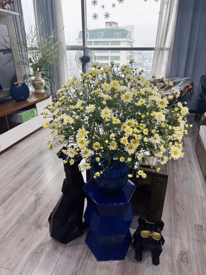 Hết cúc vàng, Hoàng Trang lại thay bằng bình cúc trắng nhẹ nhàng, thanh khiết.