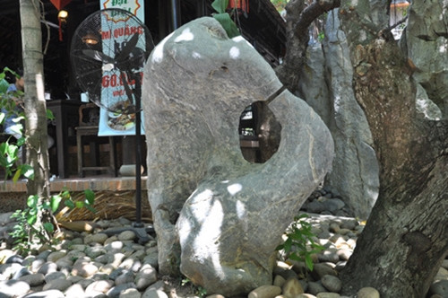 Dưới gốc sung hàng trăm năm tuổi là tảng đá tự nhiên mang hình hài chim mẹ đang mớm mồi cho chim con. Ảnh: Vietnamnnet