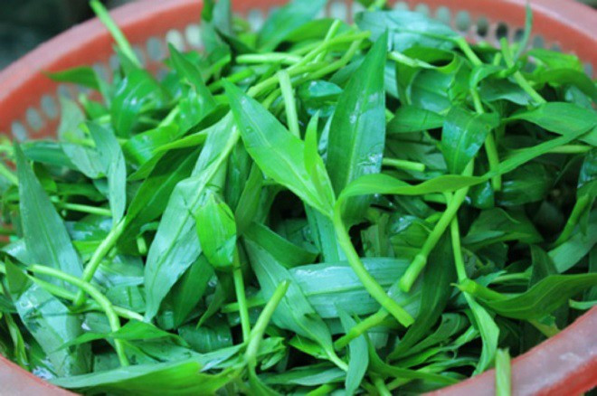 Bên cạnh đó, rau thài lài còn được dùng làm thuốc. Theo Đông y, rau có tác dụng giải nhiệt, tiêu sưng... Ảnh: Internet