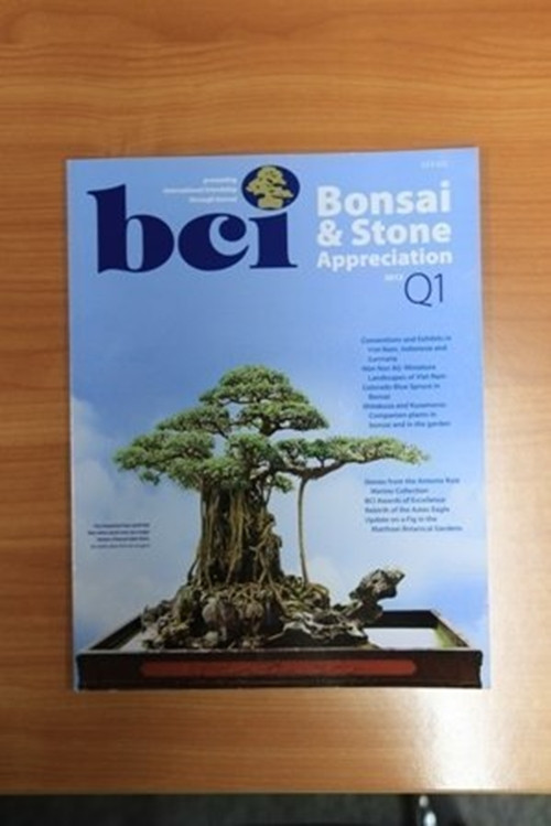 Năm 2012, Tạp chí về nghệ thuật chơi cây cảnh, bonsai của Mỹ - BCI có bài viết về siêu cây đình đám “Mâm xôi con gà” của ông Nguyễn Nam Thành ở Việt Trì, tỉnh Phú Thọ. Ảnh: Vietnamnet