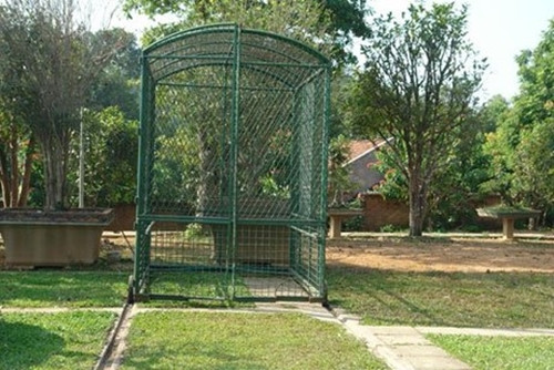 Ít ai biết, “Mâm xôi con gà” được chủ nhân làm riêng một “ngôi nhà” bằng thép vuông 10, sơn màu xanh lá cây với chiều dài 3,5m; chiều rộng 5m; chiều cao 4,5m. Ảnh: Bapphapluat