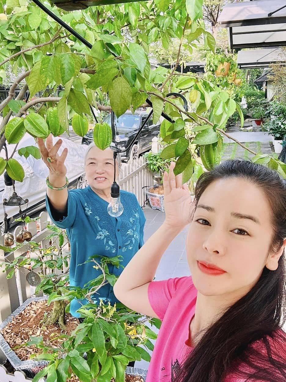 Bên cạnh đó, Nhật Kim Anh còn trồng các loại cây ăn quả.