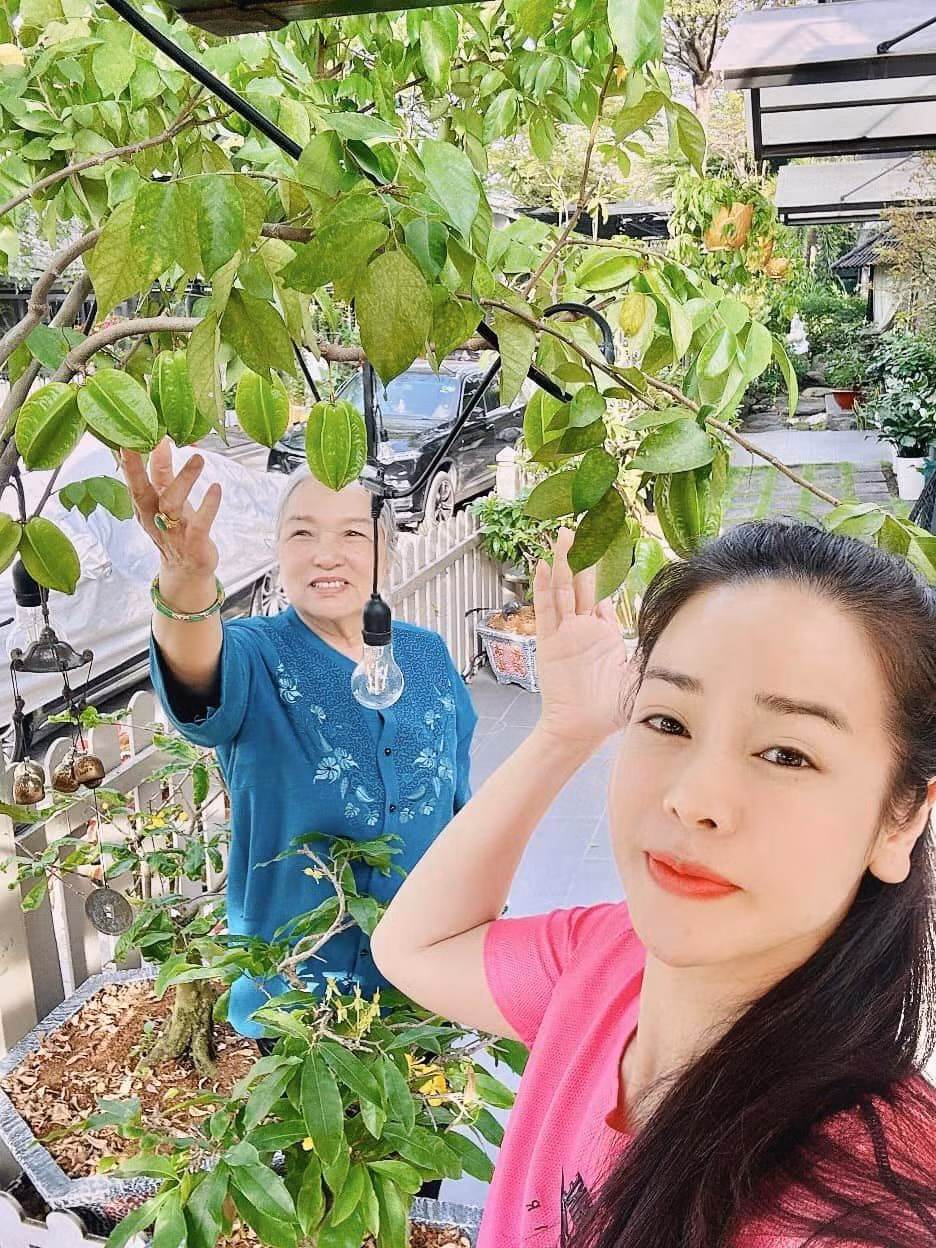 Bên cạnh đó, Nhật Kim Anh còn trồng các loại cây ăn quả.