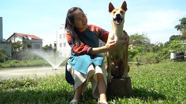 Xuất phát từ niềm yêu thích đặc biệt với giống chó bản địa Việt Nam, chị Lê Thị Hà (sinh năm 1988, ở Hà Nội) sở hữu 5 trang trại với hơn 100 cá thể chó Phú Quốc. Ảnh: Tiền phong