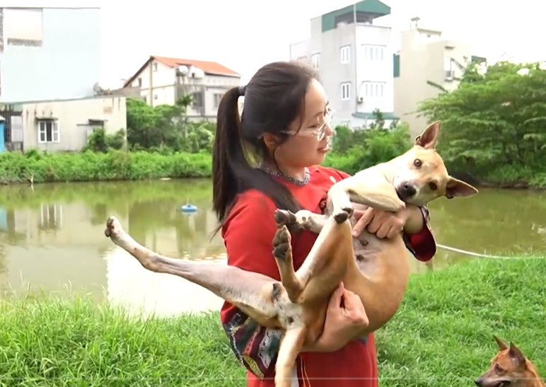 Hiện tại, chị Hà đã đầu tư vào một trang trại tiền tỷ với hơn 2.000 m2, bao gồm chó bản địa Việt Nam, chó Phú Quốc, chó H’Mông cộc đuôi, chó Bắc Hà. Ảnh: Nông nghiệp