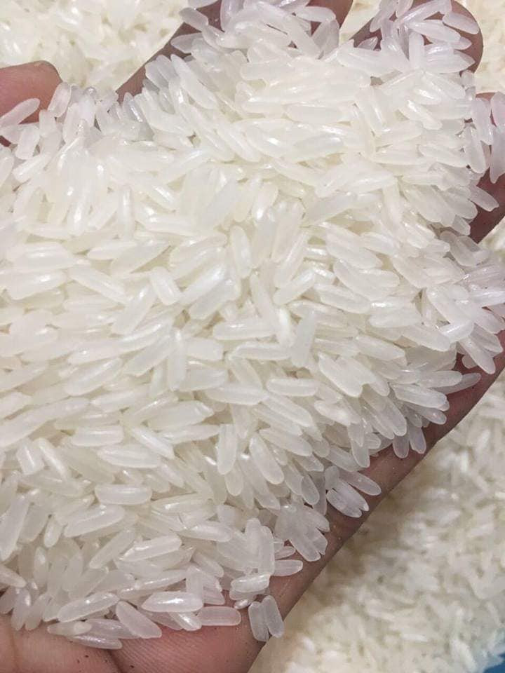 Tuy nhiên, chị Loan (quê Lào Cai, chuyên bán gạo Séng Cù tại Hà Nội) cho biết, ở vùng trồng lúa Séng Cù trọng điểm của Lào Cai là Mường Khương và Bát Xát từ trước đến nay chỉ sản xuất ra gạo Séng Cù màu trắng ngà hoặc trắng đục. Ảnh: Facebook