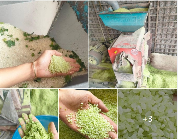 Bản chất gạo Séng Cù xanh cốm vẫn là Séng Cù nhưng khi xát gạo người ta cho cùng lá dứa (lá nếp) hoặc bột lá dứa để tạo màu xanh và mùi thơm chứ không phải gạo non. Ảnh chụp màn hình