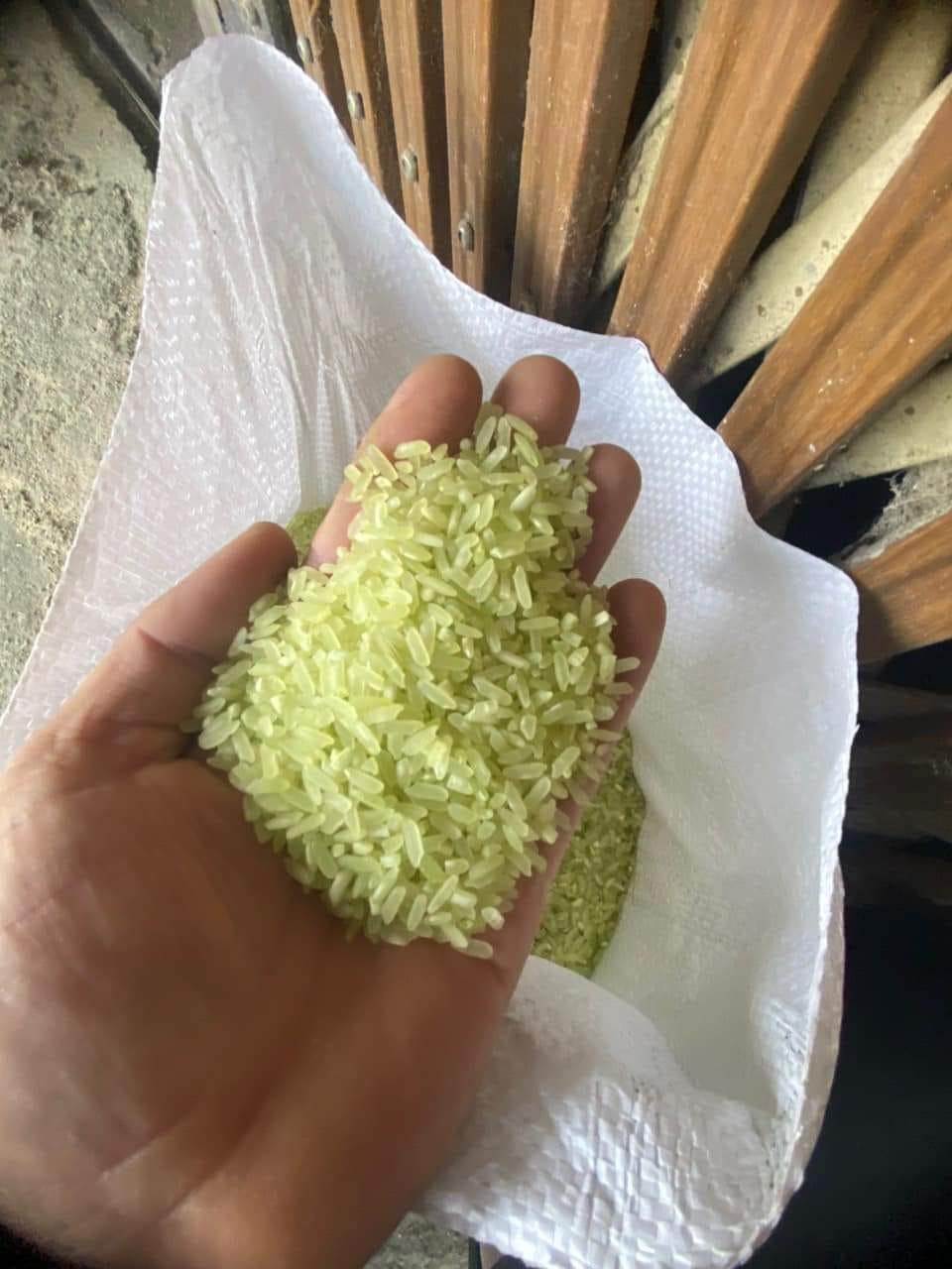 Gạo có màu xanh là do được nhuộm bởi nước lá dứa hoặc bột lá dứa. Ảnh: Facebook