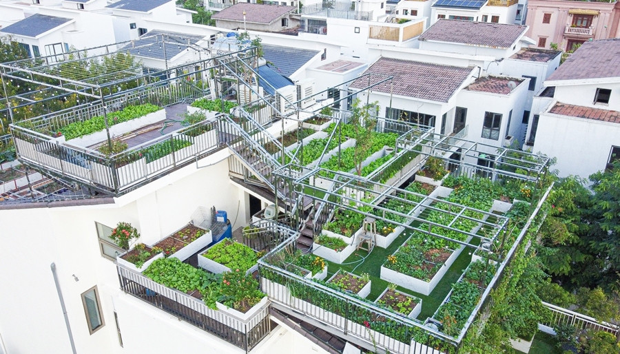 Ông Dũng cho xây dựng khung sắt, thép, tạo thành hệ thống vườn cao - thấp phù hợp với kết cấu mái. Ảnh: Dân trí