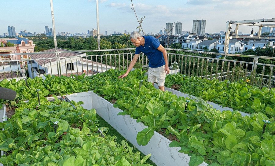 Mỗi bồn trồng cây thiết kế như một bồn kín nước, có lớp chống nóng và lớp nhựa ốp vân đá bên ngoài nhằm tăng tính thẩm mỹ. Ảnh: Dân trí
