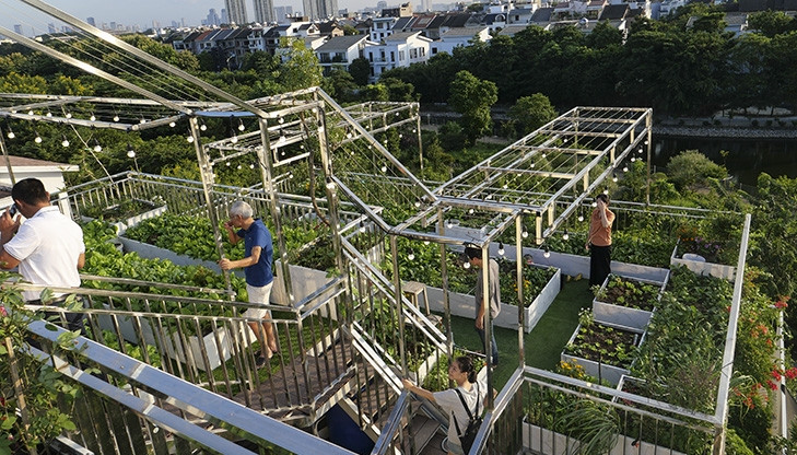 Khu vườn có tổng diện tích 300 m2, trong đó diện tích trồng cây khoảng 170m2. Ảnh: Báo tin tức