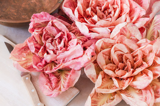 Rau diếp hồng (hay xà lách hồng) là một loại rau diếp xoăn có màu hồng. Nó dường như là một bản sao của loại rau diếp lá xanh tiêu chuẩn. Ảnh: Adobe Stock