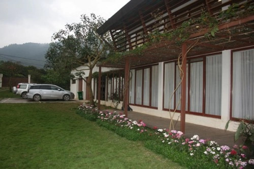 Toàn bộ biệt thự của diva Mỹ Linh có diện tích 10.000 m2, bao gồm các khu vực chức năng: 1 nhà ở khoảng 300 m2, 1 phòng thu diện tích khoảng 390 m2, 1 bể bơi khoảng 60 m2, garage ô tô và các công trình phụ trợ khác. Ảnh: Internet