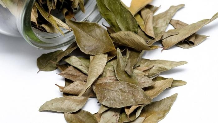 Lá nguyệt quế xuất xứ từ Địa Trung Hải, có vị cay cay, đắng, thơm, hay dùng để nấu phở - món ăn phổ biến của người Việt. Ảnh: Internet