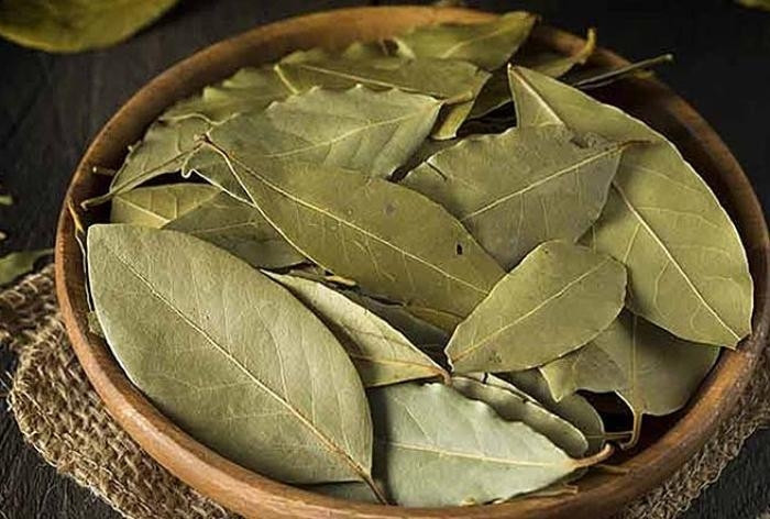 Lá nguyệt quế được tiêu thụ theo nhiều cách và dùng cho nhiều mục đích khác nhau như lá tươi, lá khô, lá đông lạnh, bột và tinh dầu chiết xuất. Ảnh: Internet