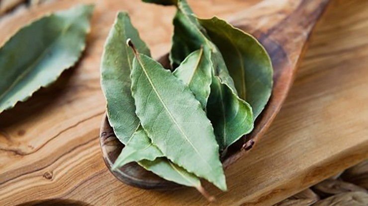 Nhờ hương vị cay, đắng cùng mùi thơm dịu nhẹ đặc trưng, lá nguyệt quế được sử dụng rộng rãi trong ẩm thực, dùng để ướp, xào hoặc chế biến các món như súp... Ảnh: Internet