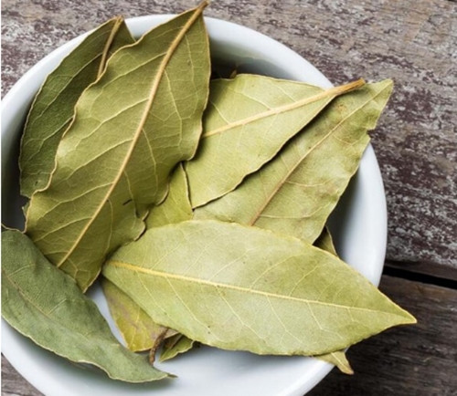 Tại thị trường trong nước, lá nguyệt quế khô đang được các công ty nông sản, siêu thị bán ra từ 50.000-80.000 đồng/100g. Ảnh: Shopee