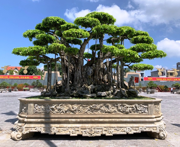 Đáng chú ý, tác phẩm sanh cổ được một doanh nhân người Nhật Bản định giá 20 triệu USD (khoảng 460 tỷ đồng) nhưng chủ nhân không bán. Ảnh: Baothanhhoa