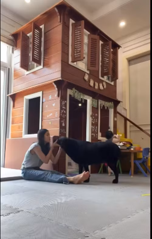 Trong phòng còn có có cả "tòa nhà" 2 tầng dành riêng cho các nhóc tì. Ảnh chụp màn hình