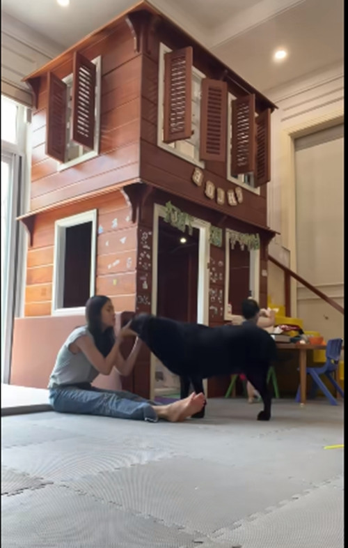 Trong phòng còn có có cả "tòa nhà" 2 tầng dành riêng cho các nhóc tì. Ảnh chụp màn hình