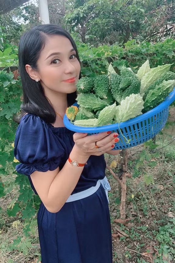 Trong khuôn viên biệt thự, Việt Trinh dành phần lớn diện tích cho không gian khu vườn trồng rau và các loại cây ăn trái.