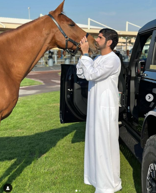 Fazza sở hữu khoảng hơn 1.000 con ngựa, ít nhất 120 con lạc đà trong trang trại của mình ở Dubai. Đáng chú ý là con lạc đà đắt nhất thế giới năm 2008 mà Fazza phải chi tới 2,7 triệu USD mới mua được. Ảnh: Instagram