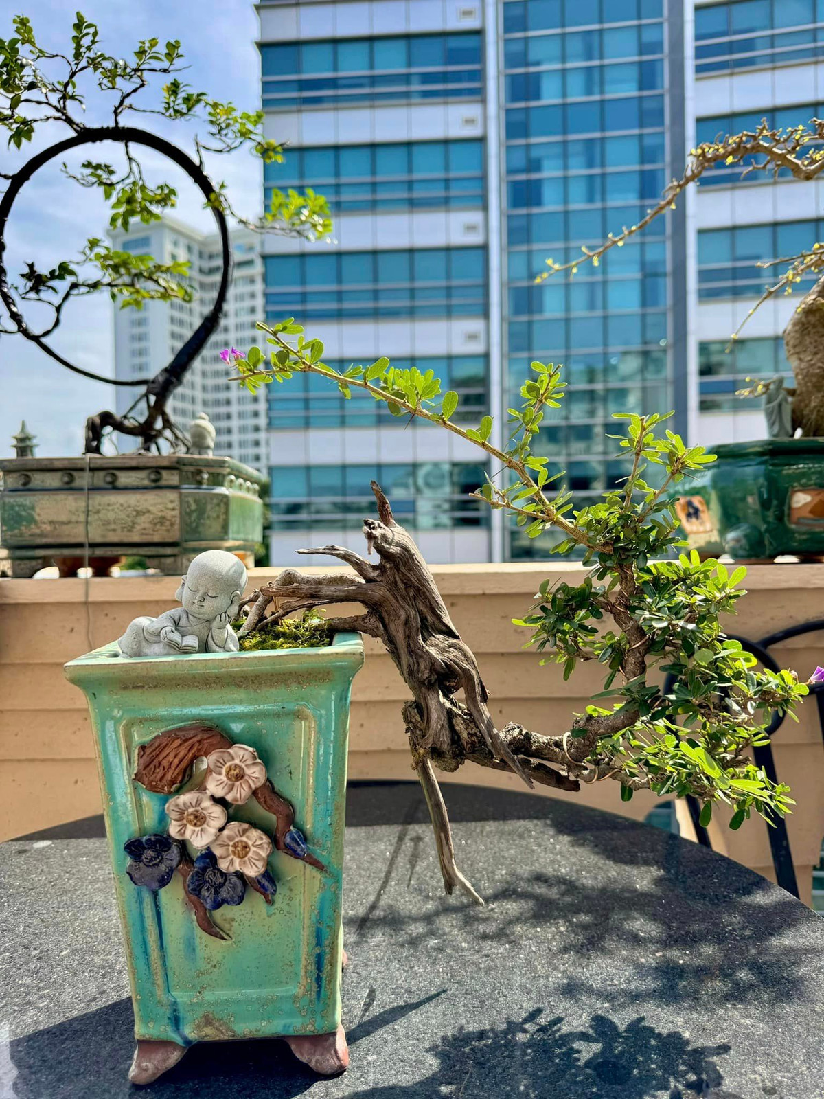 Tại ban công tầng 9, nam doanh nhân còn đặt những cây sanh bonsai có kích cỡ vừa phải, phù hợp diện tích, tạo không gian xanh cho ngôi nhà. Ảnh: FBNV