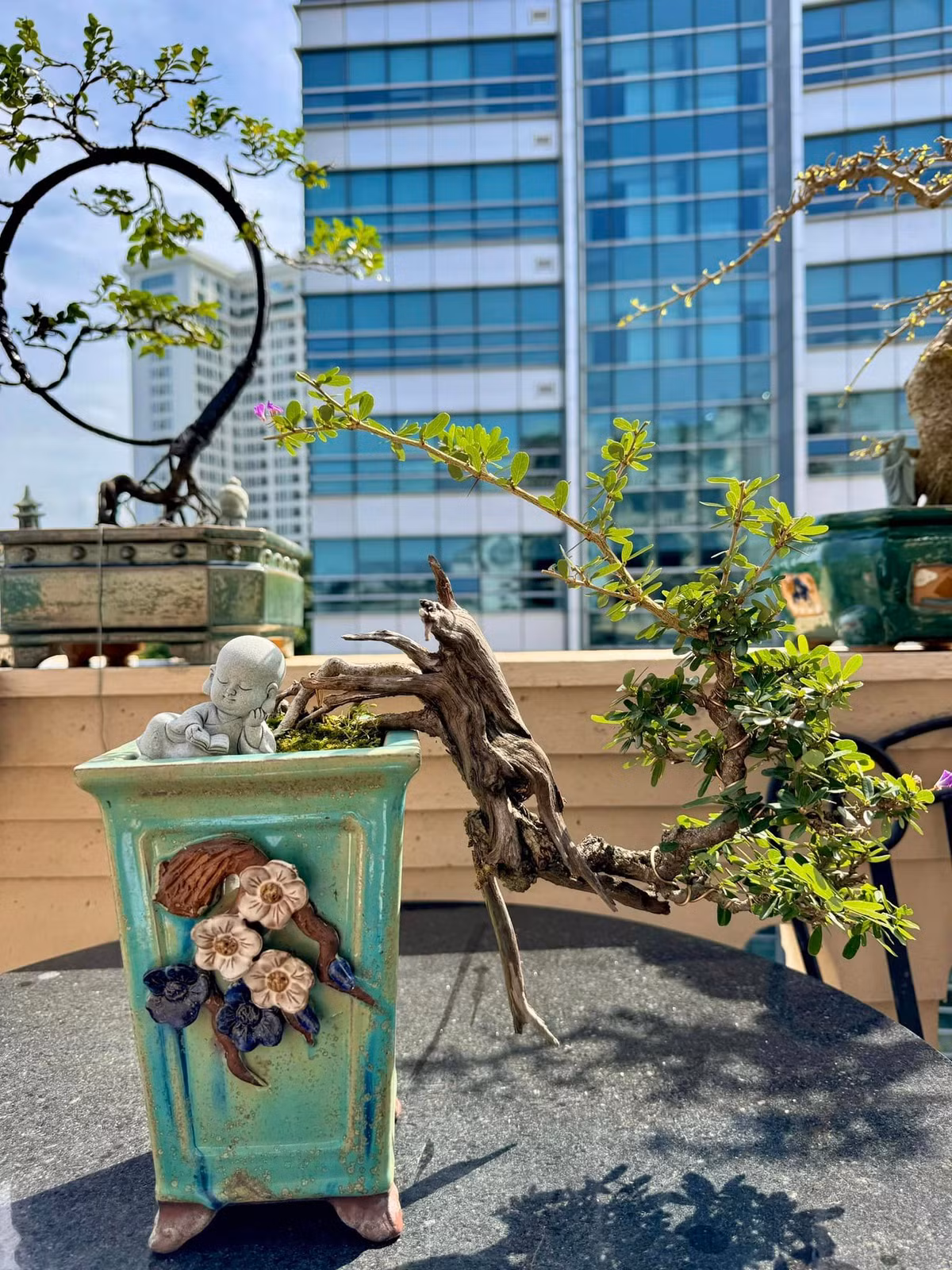 Tại ban công tầng 9, nam doanh nhân còn đặt những cây sanh bonsai có kích cỡ vừa phải, phù hợp diện tích, tạo không gian xanh cho ngôi nhà. Ảnh: FBNV