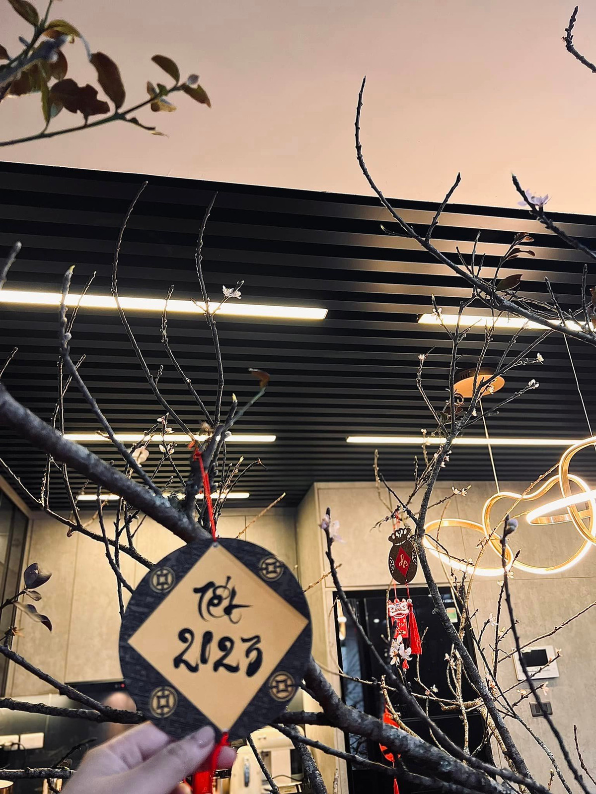 Nữ BTV trang trí bằng một cành lê lớn.