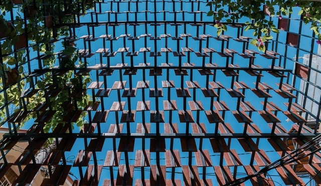 Gạch gốm được xếp so le và đan xen cây dây leo, nhìn từ xa trông giống như một bàn cờ gạch.