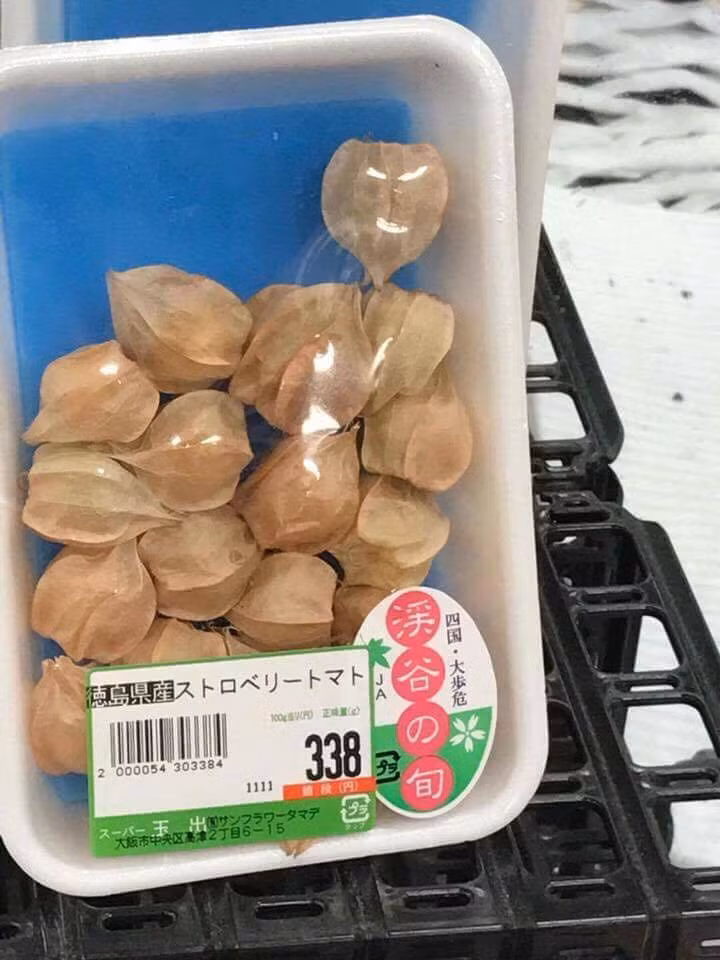 Bình thường, quả tầm bóp chẳng mấy ai bán nhưng tại Nhật Bản, quả tầm bóp được đóng gói và bày bán tại các siêu thị lớn nhỏ với giá “không tưởng” lên tới 700.000 đồng/kg. Ảnh: Facebook