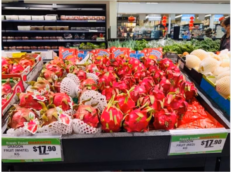 Thế nhưng, khi xuất sang châu Âu, thanh long được bày biện trang trọng trong các siêu thị lớn với mức giá trên 600.000 đồng/kg. Ảnh: Báo công thương