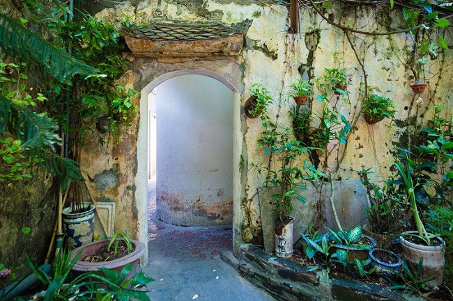 Mảnh vườn của ngôi nhà rộng 180m2, còn lại là lối ngõ, đường đi. Ảnh: Dân trí