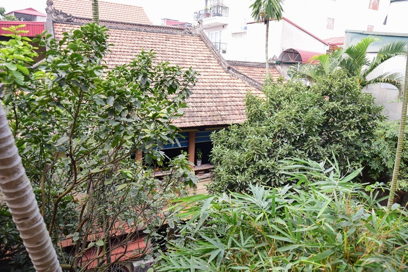 Khu vườn trồng rất nhiều cây xanh. Ảnh: Viẹtnamnet