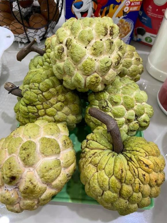 Vy Oanh từng khoe vườn nhà và tiết lộ: "Trái ra ăn không kịp". Nguồn ảnh: FBNV