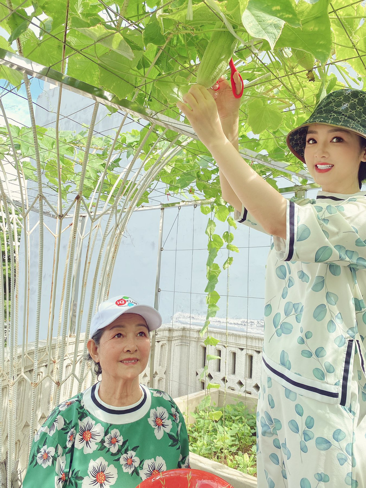 Ngoài hoa, Giáng My còn trồng cả một vườn rau sạch trên sân thượng.