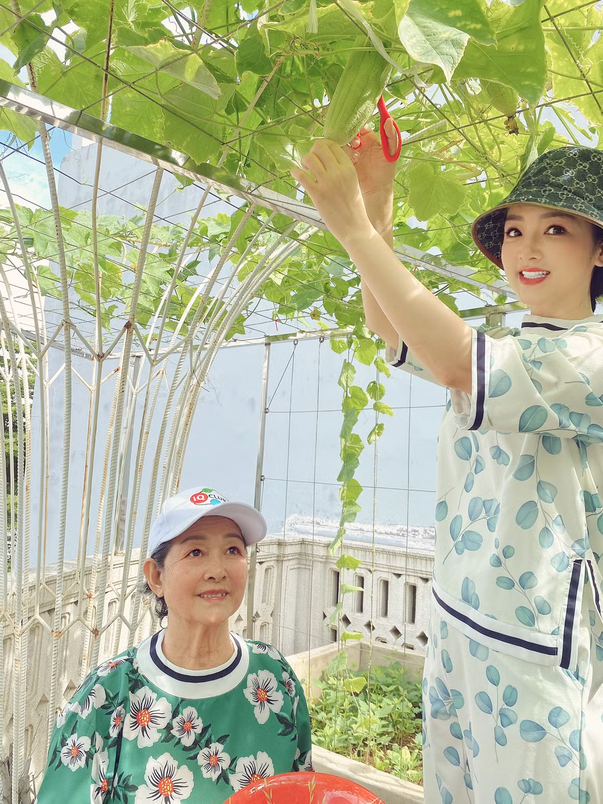 Ngoài hoa, Giáng My còn trồng cả một vườn rau sạch trên sân thượng.