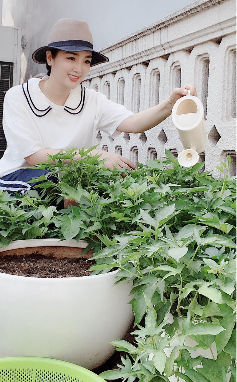 Người đẹp tự hào khu vườn có hơn 10 loại rau, tự cung tự cấp cho bữa ăn gia đình.