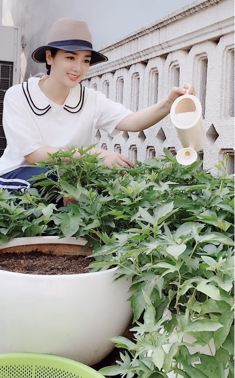 Người đẹp tự hào khu vườn có hơn 10 loại rau, tự cung tự cấp cho bữa ăn gia đình.