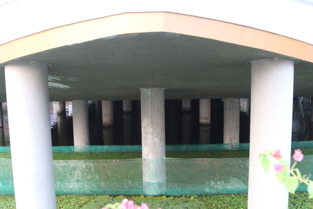 Phía dưới nhà là hồ nước nuôi hàng trăm con cá tai tượng, diêu hồng và được nâng đỡ bởi 51 cây trụ. Ảnh: Tiền phong