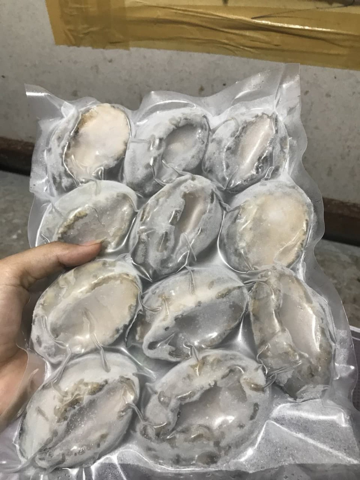 Bào ngư được biết đến là món ăn thượng hạng với mức giá đắt đỏ tại các nhà hàng cao cấp bởi hương vị thơm ngon và giàu giá trị dinh dưỡng. Ảnh: Thucpham5sao