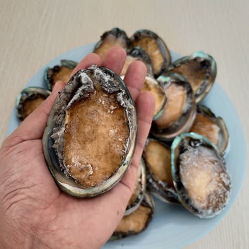 Bào ngư Việt Nam có giá từ 550.000 đến hơn 7 triệu đồng/kg, tùy theo kích cỡ. Ảnh: Thucpham5sao